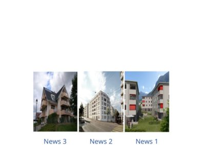thumbnail of Newsletter_Althys